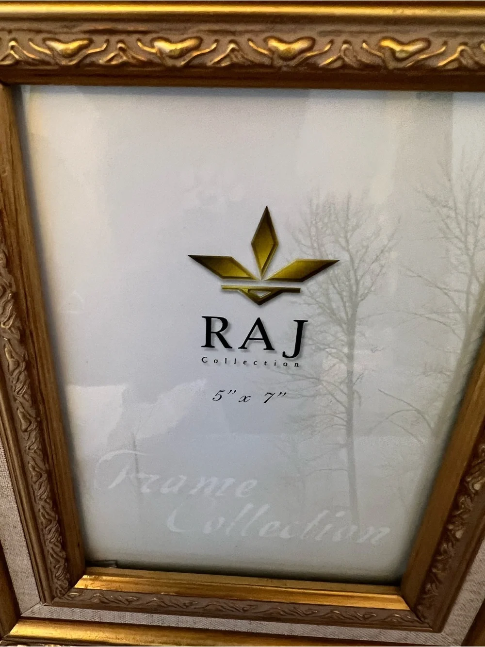RAJ Hera Collection Gold Ornate Layered Picture Frame 5”X7”